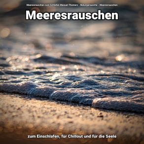 Download track Meereswellen Meeresrauschen