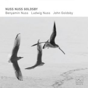 Download track Wordless Benyamin Nuss, Ludwig Nuss, John Goldsby