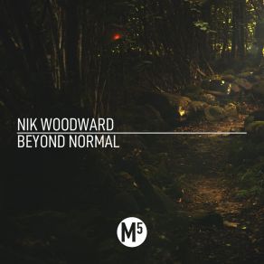 Download track Elsewhere (Original Mix) Nik Woodward