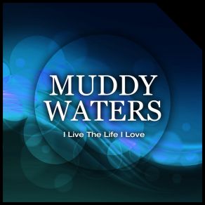 Download track Just To Be With You Muddy Waters