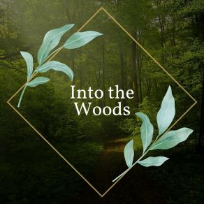 Download track The Rainforest, Pt. 26 Recording Nature
