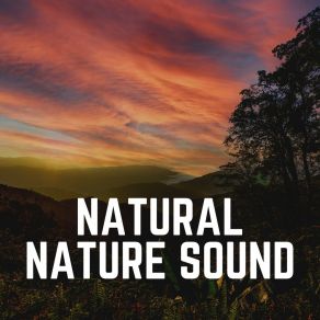 Download track Soundscapes Of Nature Melodies, Pt. 56 Organic Nature Sounds