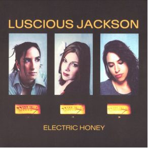 Download track Lover'S Moon Luscious Jackson