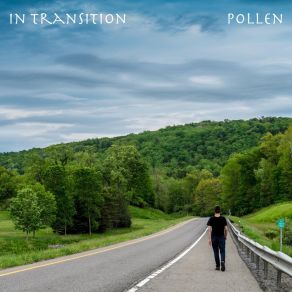 Download track Lost In Transition Pollen