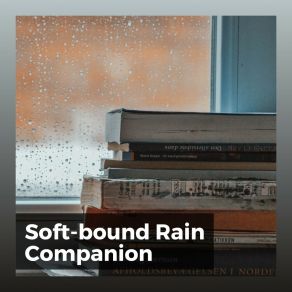 Download track Embody Rain Pro Sound Effects Library