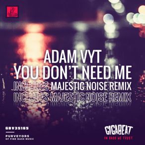 Download track You Don't Need Me (Majestic Noise Remix) Adam VytMajestic Noise