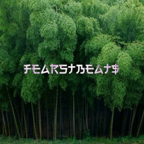 Download track Circlet Of Flowers FEARSTbeats