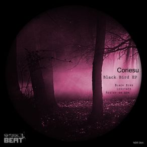 Download track Black Bird (Original Mix) Coriesu