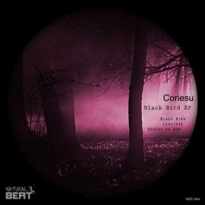 Download track Levitate (Original Mix) Coriesu