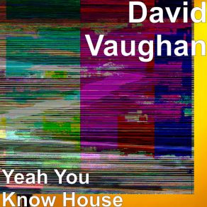 Download track Future Sounds House Vol 8 David Vaughan