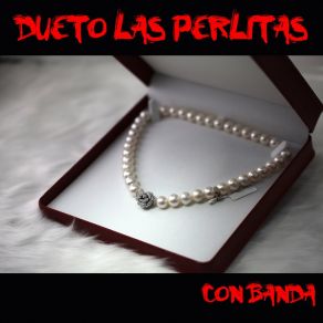 Download track Paloma A Donde Vas (Banda) Dueto Las PerlitasThe Banda