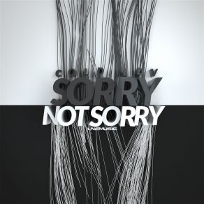 Download track Sorry Not Sorry (Raindropz Remix Edit) Cold Luv