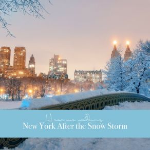 Download track New York After The Snow Storm, Pt. 11 Tim Cooper