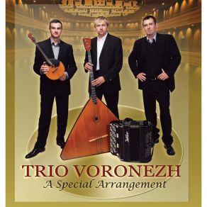 Download track Russian Waltz Trio Voronezh