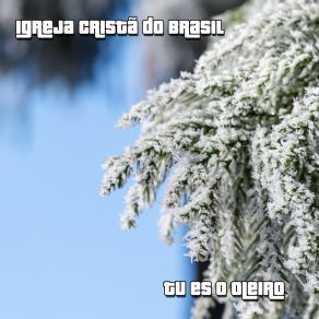 Download track Sou Feliz Igreja Cristã Do Brasil