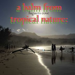 Download track Allspice (Dub) Fuguers Cove