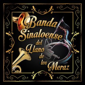 Download track Lindo Michoacan Banda Sinaloense Del Llano De Los Meraz