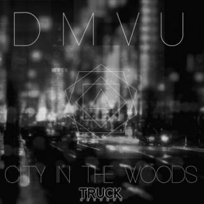 Download track Magnetic (Original Mix) DMVU