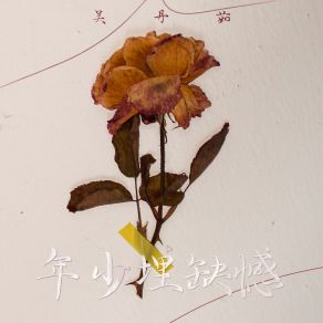 Download track 年少埋缺憾 (伴奏) 吴丹茹