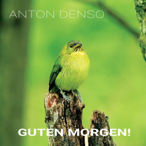 Download track Good Times Anton Denso