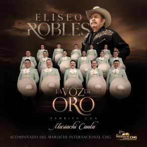 Download track Dos Corazones Errantes Mariachi Internacional CHG De Gamaliel Contreras Huerta