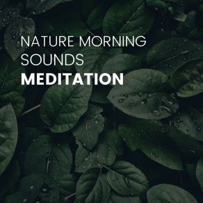 Download track Morning Nature Sounds, Pt. 21 Nature Sounds Nature Music