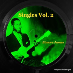 Download track 1839 Blues Elmore James