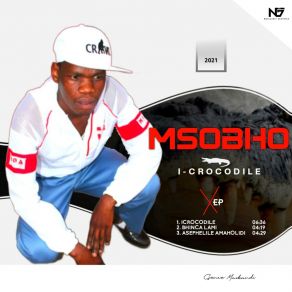 Download track Asphelile Amaholidi (Radio Edit) Msobho