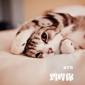 Download track 土味奖 宋艺哲