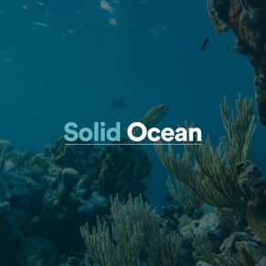 Download track Dreamland Ocean Ocean Therapy