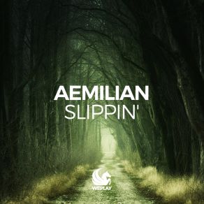 Download track Slippin' (Saint Nois Remix) Aemilian