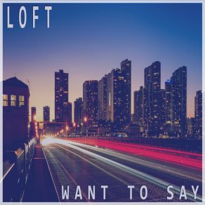 Download track Want To Say (Funky Dub) The Loft