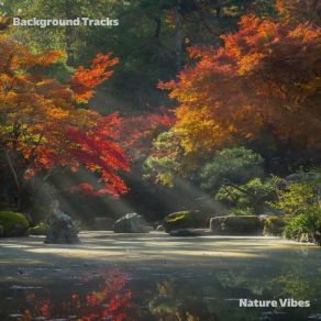 Download track Evening Nature Background Background Tracks