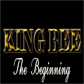 Download track Long Black Wavy King Bee