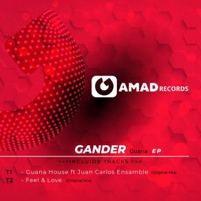 Download track Feel & Love (Original Mix) Gander