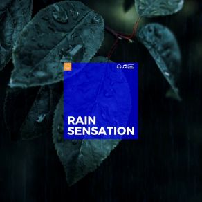 Download track Medium Rain Loopable Rain Sounds