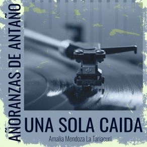 Download track La Viuda Abandonada Amalia Mendoza 