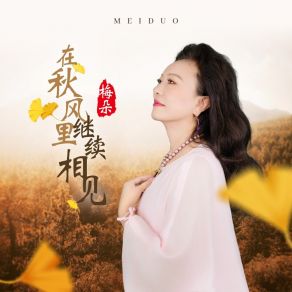 Download track 在秋风里继续相见 (伴奏) 梅朵