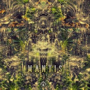 Download track Jungle Story 152 Bpm 24bit Mantis