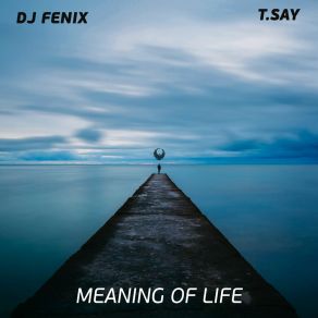 Download track Meaning Of Life (Dub Mix) DJ FenixT-Say