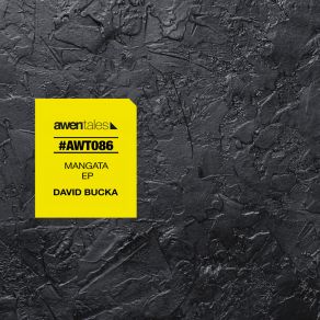 Download track Shimmer David Bucka