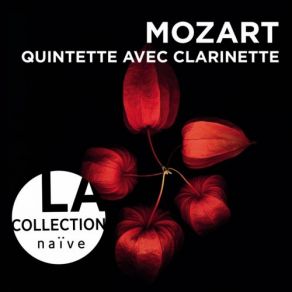 Download track Quintette Avec Clarinette, K. 581: II. Larghetto Wolfgang Meyer, Quatuor Mosaiques