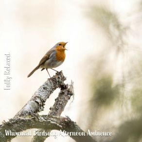 Download track Whimsical Birdsong Afternoon Ambience, Pt. 3 Steve Brassel