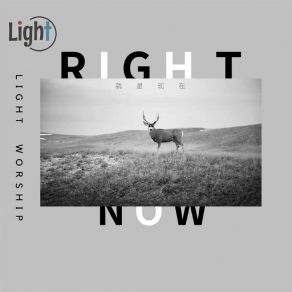 Download track 我已兴起 Light Worship