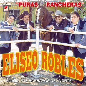 Download track Recuerdame Bonito Eliseo Robles