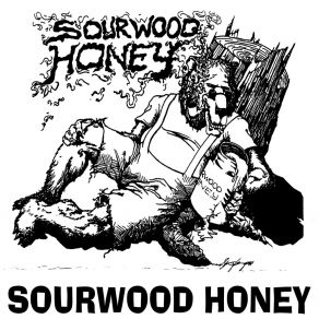 Download track Baby Leave Me Sourwood Honey