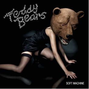 Download track Punkrocker TeddybearsIggy Pop