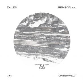 Download track Sensor (Original Mix) Zalem