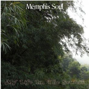 Download track Fairyfield Memphis Soul