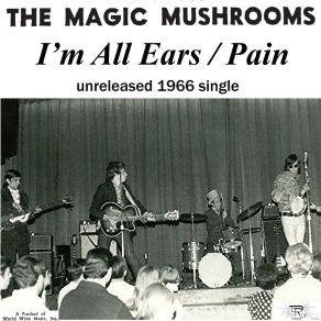 Download track Pain The Magic Mushrooms